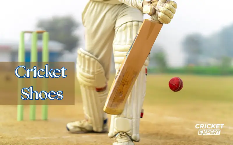 Cricket Shoes