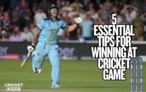 cricket game