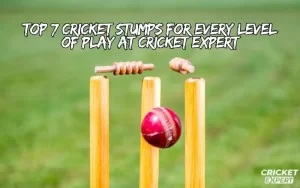 cricket stumps