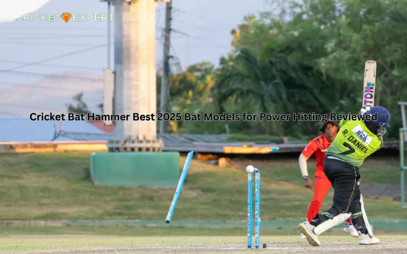 cricket bat hammer